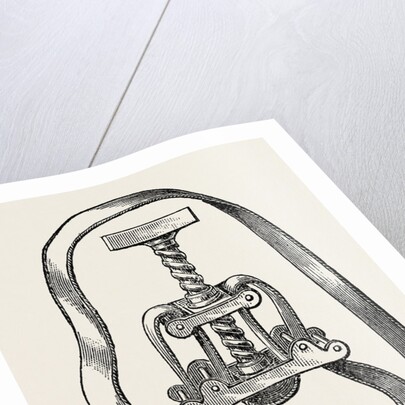 Petit's screw by Anonymous