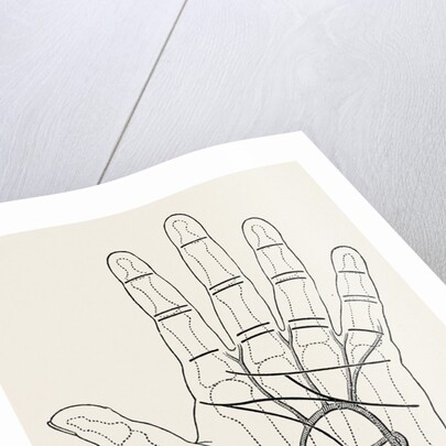 Surface markings on the palm of ffile hand by Anonymous