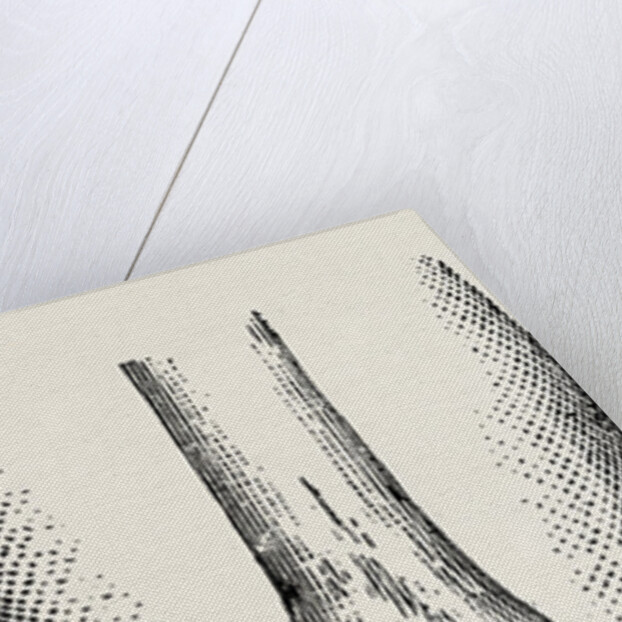 Disarticulation by Anonymous