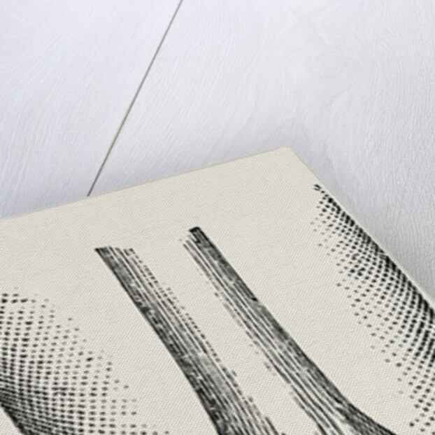 Disarticulation by Anonymous