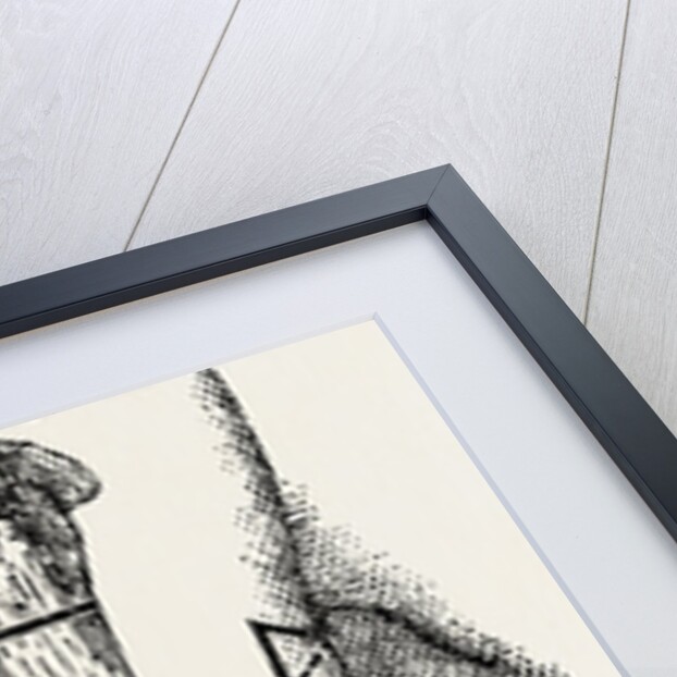 Amputation by Anonymous