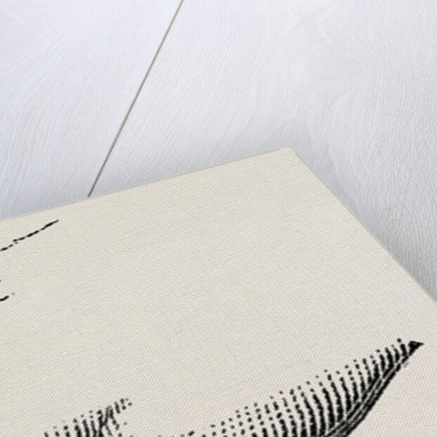 Disarticulation by Anonymous