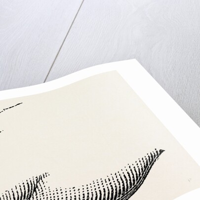 Disarticulation by Anonymous