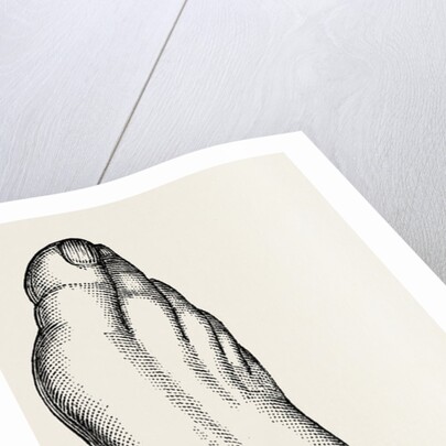 Inner and outer sides of the right foot by Anonymous