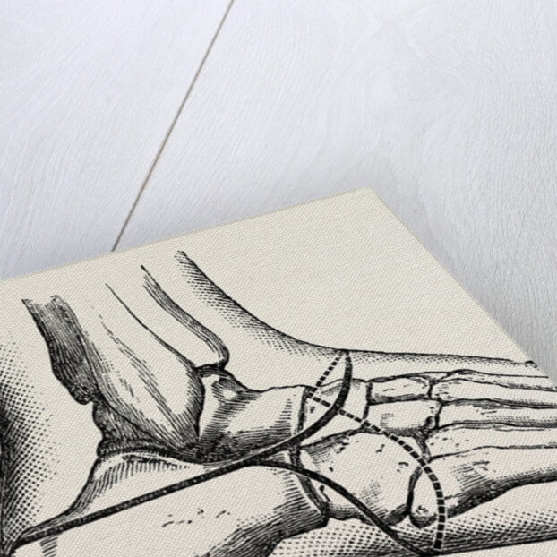 Pasquier by Anonymous