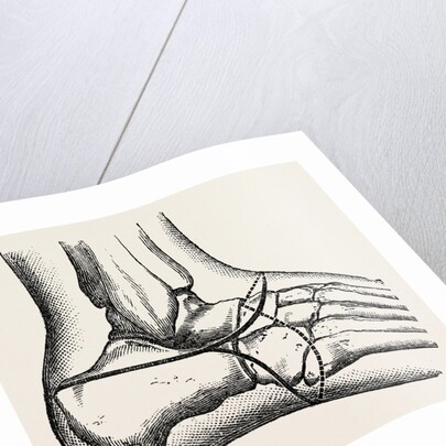 Pasquier by Anonymous