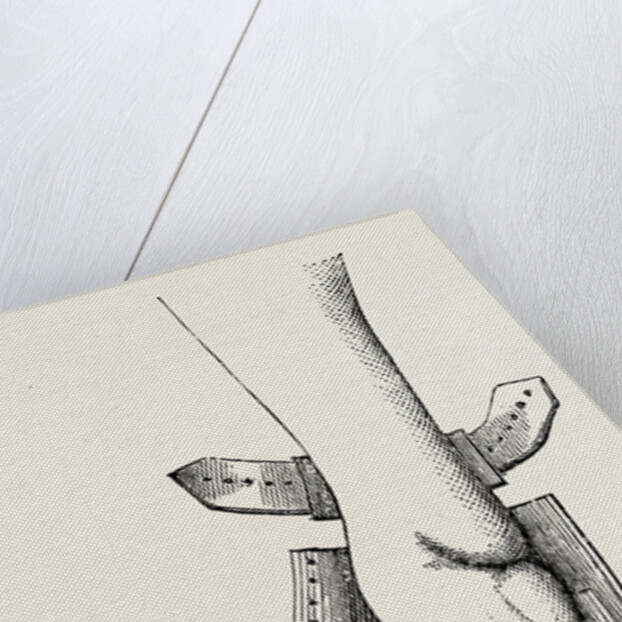 Aspect of limb by Anonymous