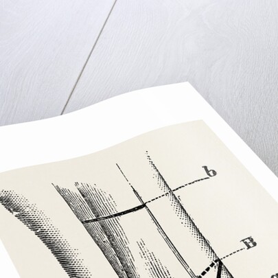 Guyon's by Anonymous