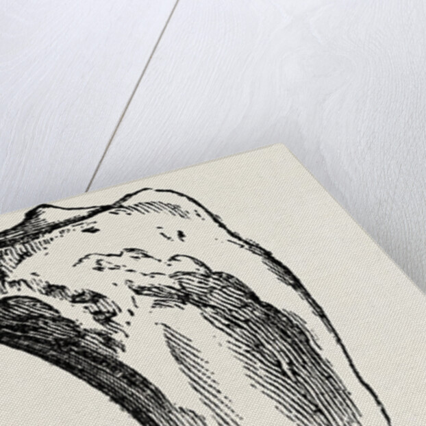 Method of method of sawing by Anonymous