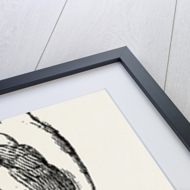 Method of method of sawing by Anonymous