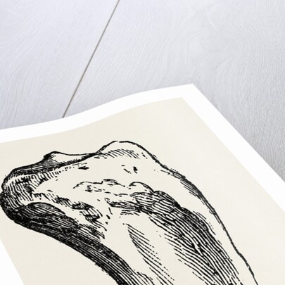 Method of method of sawing by Anonymous