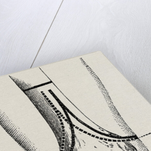 Stephen smith's by Anonymous