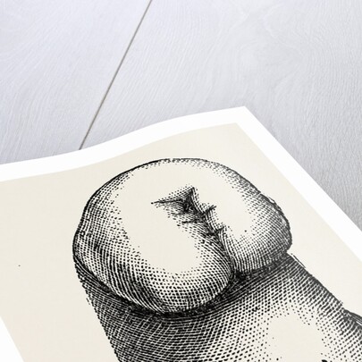 The stump by Anonymous