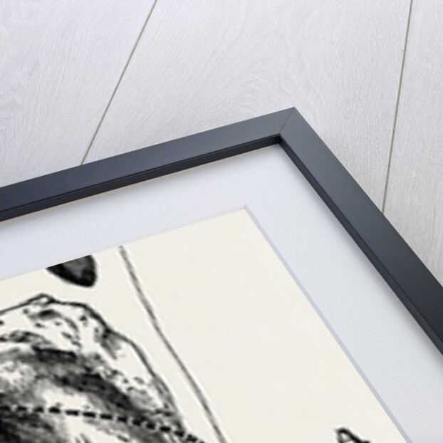 Disarticulation isarticulation by Anonymous