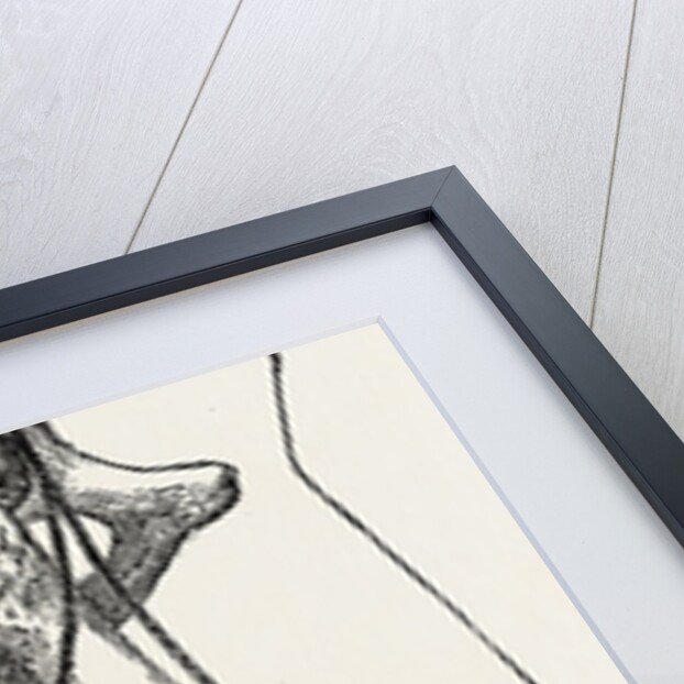 Amputation by Anonymous