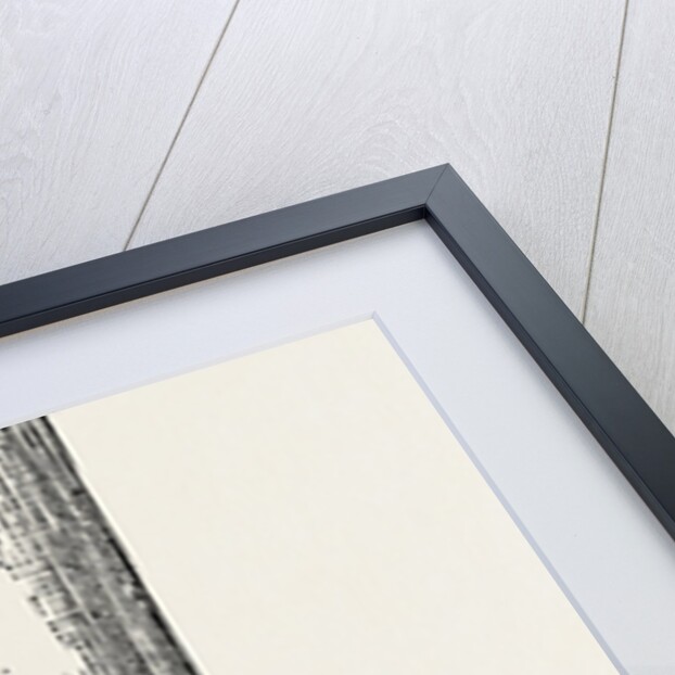 Macewen by Anonymous