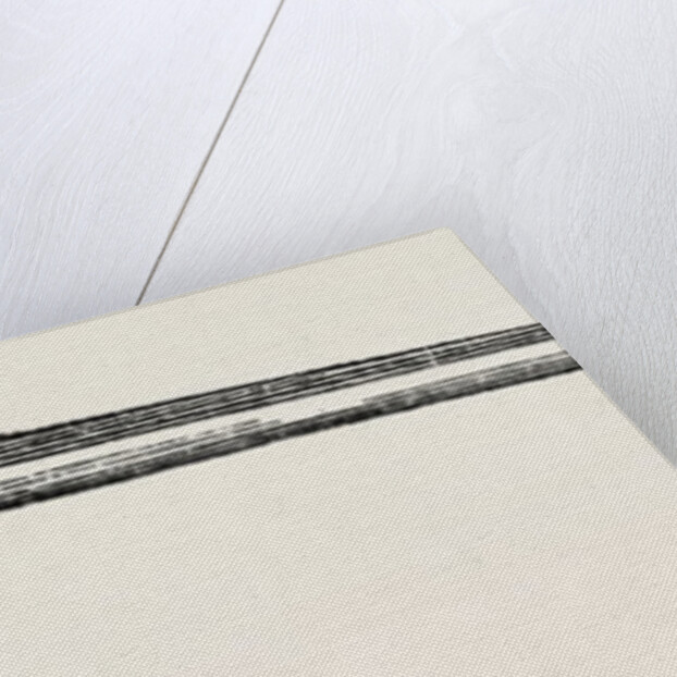 Blandin's director for resections by Anonymous