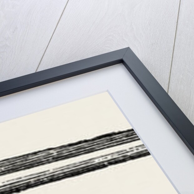 Blandin's director for resections by Anonymous