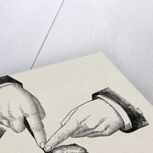 The method of using the rugine by Anonymous