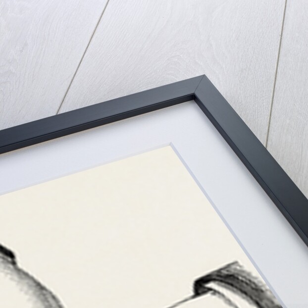 The method of using the rugine by Anonymous