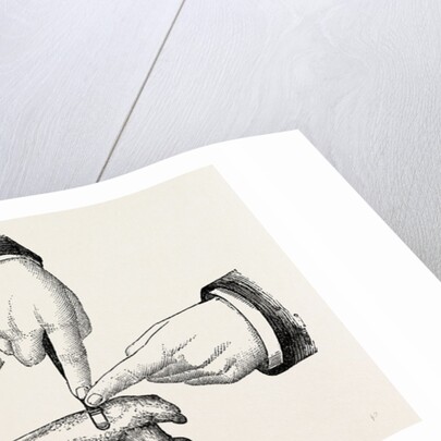 The method of using the rugine by Anonymous