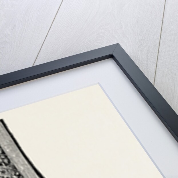 Radio-car lower end of the radius by Anonymous