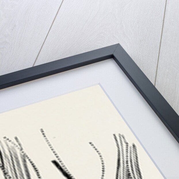 Excision of the wrist by Anonymous