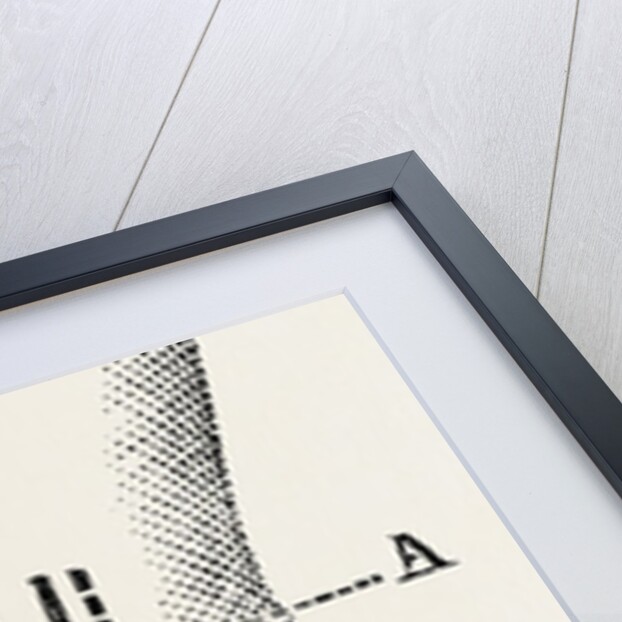 Excision by Anonymous