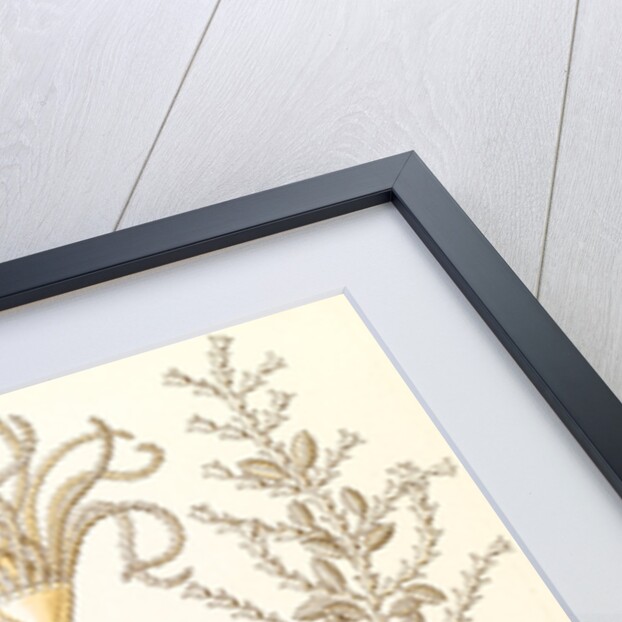 Marine animals. Sertulariae by Ernst Haeckel