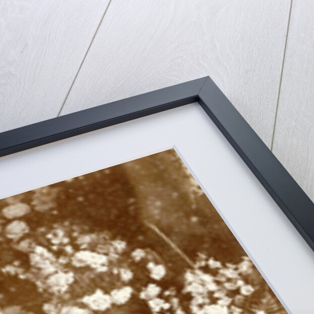 Portrait of Tine and Klaas Vermeulen Kleiterp between flowers by C.J.L. Vermeulen