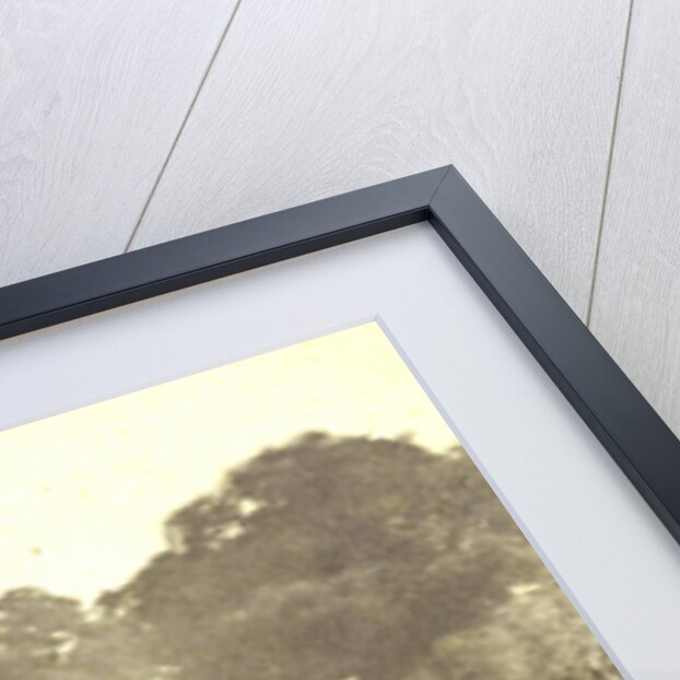 An agricultural exhibition in Middelburg by Jan Wendel Gerstenhauer Zimmerman