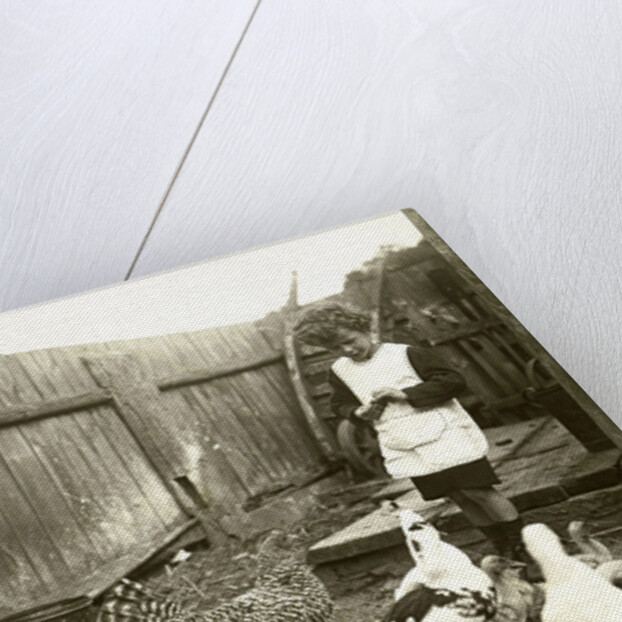 Eckart Titzenthaler, son of the photographer standing on a farm with chickens and geese by Waldemar Titzenthaler