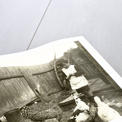 Eckart Titzenthaler, son of the photographer standing on a farm with chickens and geese by Waldemar Titzenthaler