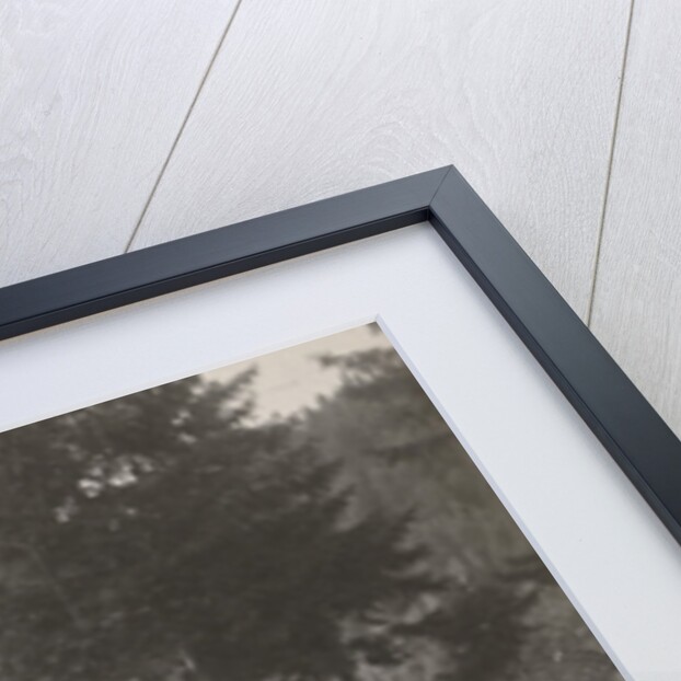 Waldemar Titzenthaler, the photographer, with his wife Olga and children Marba and Eckart sitting on a glade by Waldemar Titzenthaler
