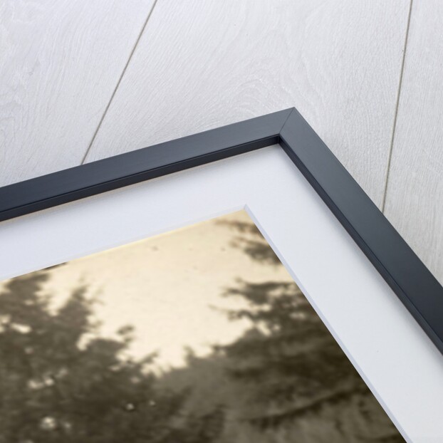 Waldemar Titzenthaler, the photographer, with his children and Marba Eckart in a clearing by Waldemar Titzenthaler