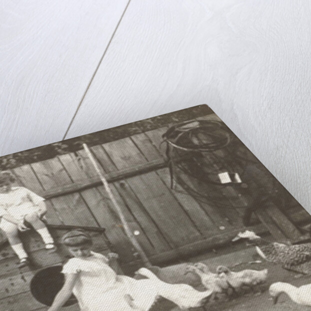 Marba and Eckart Titzenthaler, children of the photographer, standing on a farm with chickens and geese by Waldemar Titzenthaler