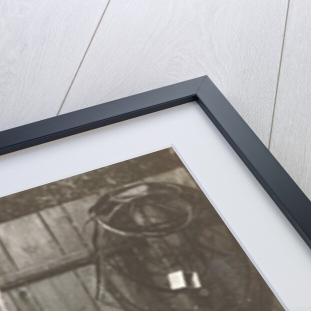 Marba and Eckart Titzenthaler, children of the photographer, standing on a farm with chickens and geese by Waldemar Titzenthaler