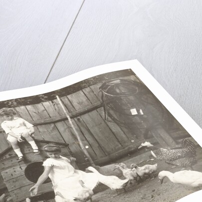 Marba and Eckart Titzenthaler, children of the photographer, standing on a farm with chickens and geese by Waldemar Titzenthaler