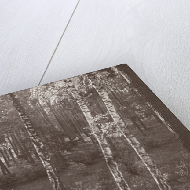 Olga Marba and Eckart Titzenthaler, wife and children of the photographer, standing in a forest by Waldemar Titzenthaler