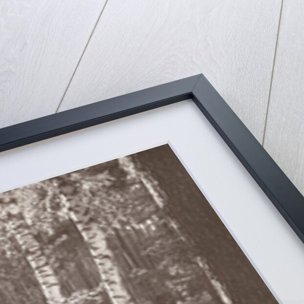 Olga Marba and Eckart Titzenthaler, wife and children of the photographer, standing in a forest by Waldemar Titzenthaler