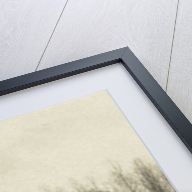 Snowy Landscape by Peter Henry Emerson