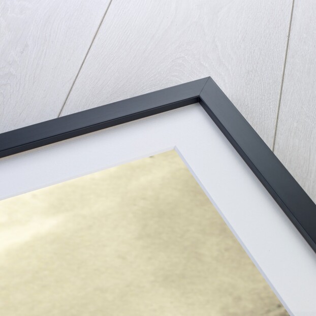 Water with cornfield by Peter Henry Emerson