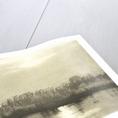 Water with cornfield by Peter Henry Emerson