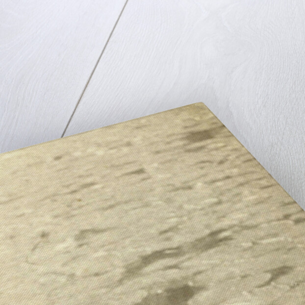 Water Lilies by William B. Post