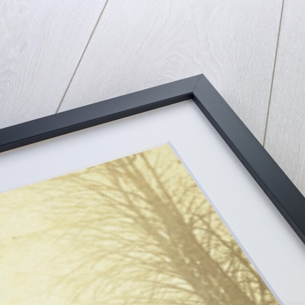 Palace Huis ten Bosch, with two men standing in the driveway, The Hague by Anonymous