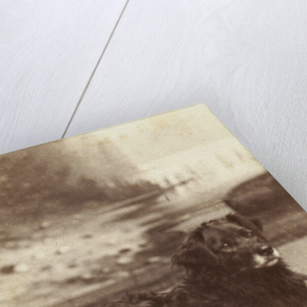 Portrait of a dog who saved the life of W.A. Blokhuis in the fire at his factory at night on 20-21 July 1886 by Abraham Koorenhoff