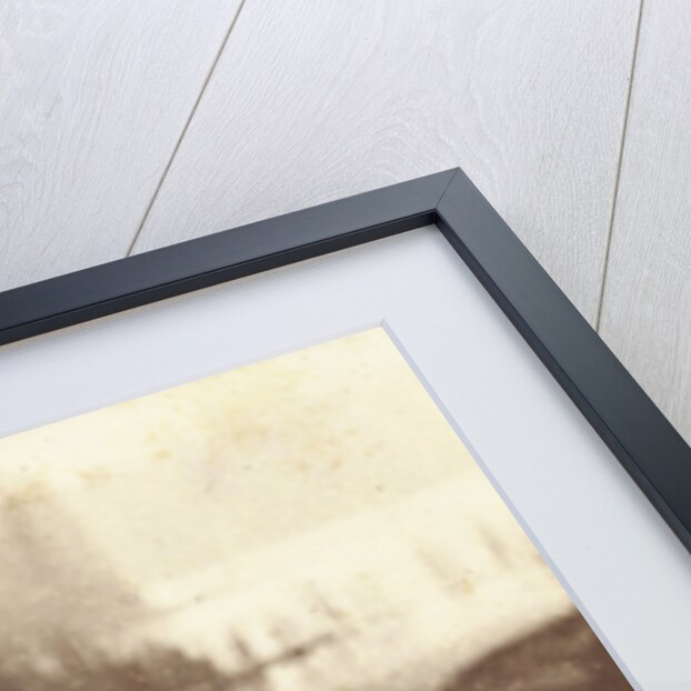 Portrait of a dog who saved the life of W.A. Blokhuis in the fire at his factory at night on 20-21 July 1886 by Abraham Koorenhoff