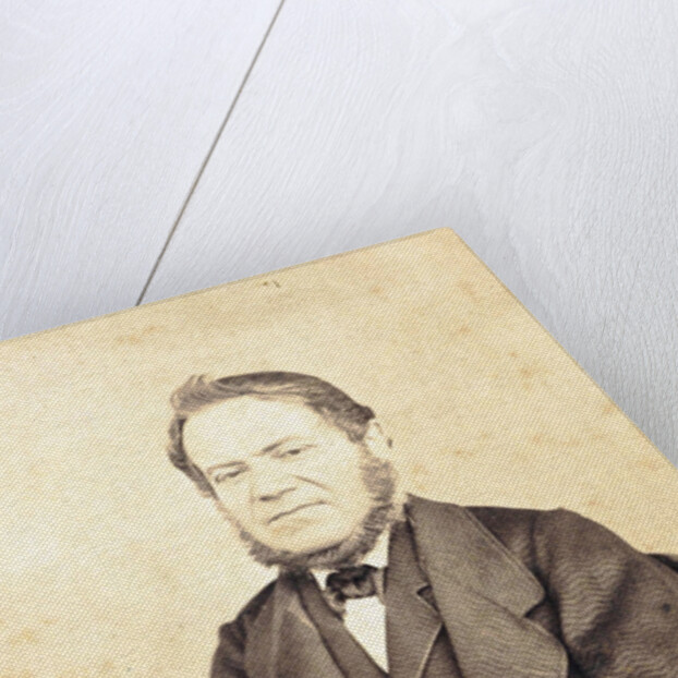 Portrait of a Man by Anonymous