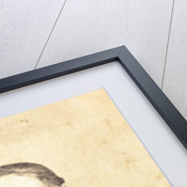 Portrait of a Man by Anonymous