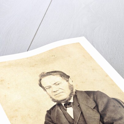 Portrait of a Man by Anonymous